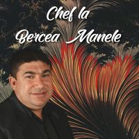 Stefan de la Barbulesti - Chef la Bercea Manele