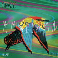 Birdzzie - Am​á​lgama