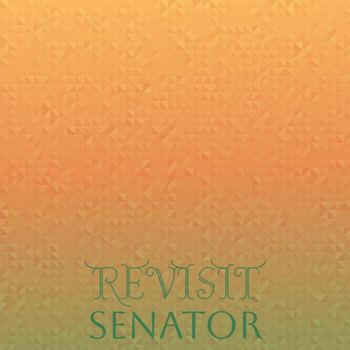 Various Artists - Revisit Senator