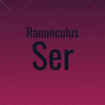 Various Artists - Ranunculus Ser