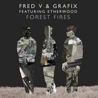 Fred V & Grafix - Forest Fires
