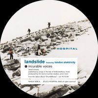 Landslide - Incurable Voices