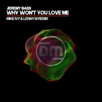 Jeremy Bass - Why Won't You Love Me (Mike Ivy & Lenny M Remix)