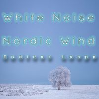 Pink Noise White Noise - White Noise Nordic Wind (Endless Loops)