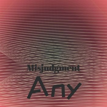 Various Artists - Misjudgment Any