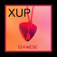XUP - Siamese