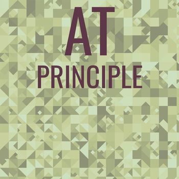 Various Artists - At Principle