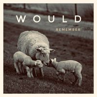Would - Remember