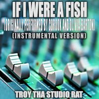Troy Tha Studio Rat - If I Were A Fish (Originally Performed by Corook and Olivia Barton) (Instrumental Version)