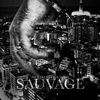 DH, Lwind, and Deux Face - Sauvage (Explicit)