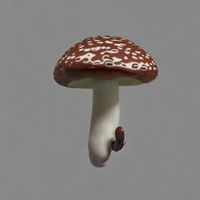 Shomrat - EP I (Explicit)