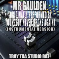 Troy Tha Studio Rat - Mr Gaulden (Originally Performed by YoungBoy Never Broke Again) (Instrumental Version)