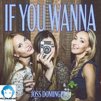 Joss Dominguez - If You Wanna (Dom Mix)
