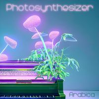 Arabica - Photosynthesizer