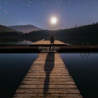 Bring Bliss - Don't Lose Yourself (Radio Mix)