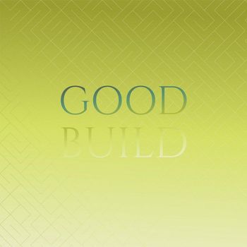 Various Artists - Good Build