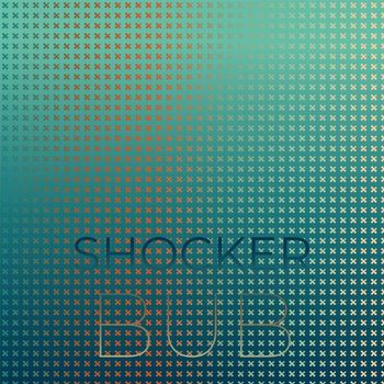 Various Artists - Shocker Bub