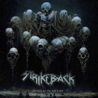 Strikeback - World in Decay
