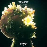 TEK-DIF - WALU EP