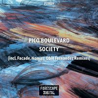 Pico Boulevard - Society (The Remixes)