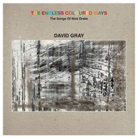David Gray - Place To Be