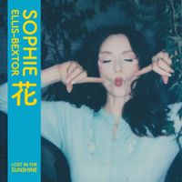 Sophie Ellis-Bextor - Lost In The Sunshine (Sudlow Radio Mix)