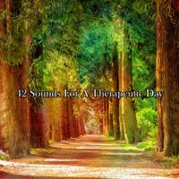 Forest Sounds - 42 Sounds For A Therapeutic Day