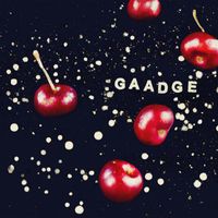 Gaadge - Any Timers