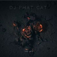 Dj Phat Cat - Too late