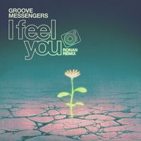 Groove Messengers - I Feel You (Ronan Remix)