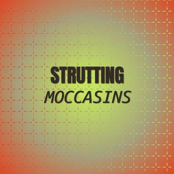 Various Artists - Strutting Moccasins
