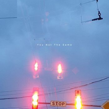 Sergio Gusto - You Not the Same