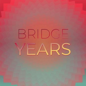 Various Artists - Bridge Years