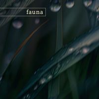 fauna - kenai fjords (nature)