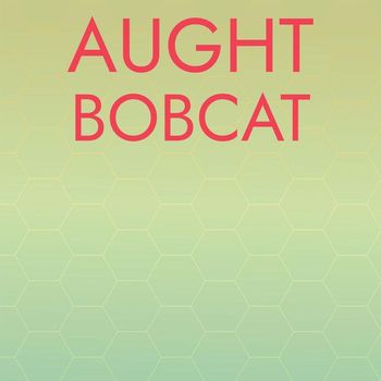 Various Artists - Aught Bobcat