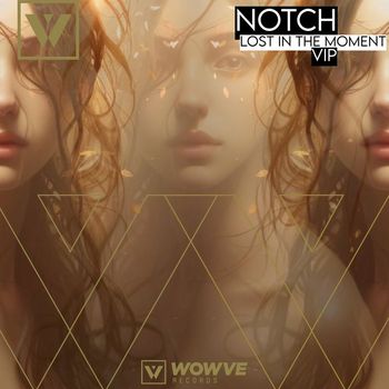 Notch - Lost in the Moment (VIP)