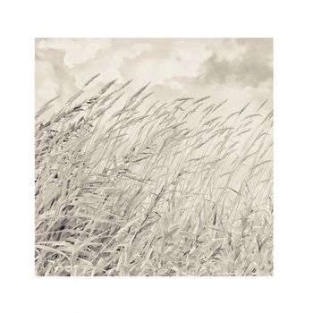 Morunas - Softly Spoken