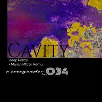 Deep Policy - Cavity EP
