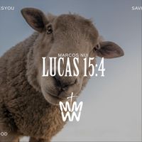 Marcos Nui - Lucas 15:4