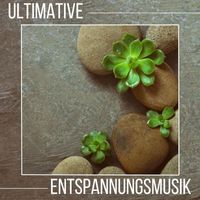 Evan Tierisch - Ultimative Entspannungsmusik: Liebevoll Komponierte Melodien für Stressabbau, Seelenfrieden mit den Klängen der Natur
