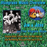 Jim & Jesse & The Virginia Boys - Bluegrass Music Overview 13 Vol. / Vol 11 : Jim & Jesse & The Virginia Boys (20 Successes)