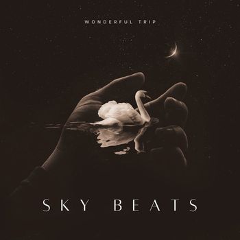 Sky Beats - Wonderful Trip (Explicit)