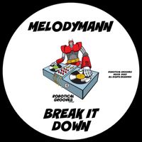 Melodymann - Break It Down