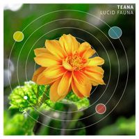 Teana - Lucid Fauna