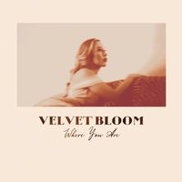 Velvet Bloom - Where You Are