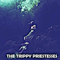 Larry Carlton - The Trippy Priestesses