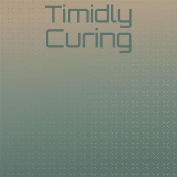 Various Artists - Timidly Curing