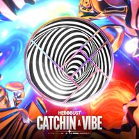 heRobust - Catchin A Vibe