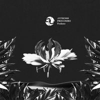 Procombo - Predator