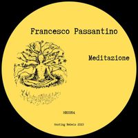 Francesco Passantino - Meditazione
